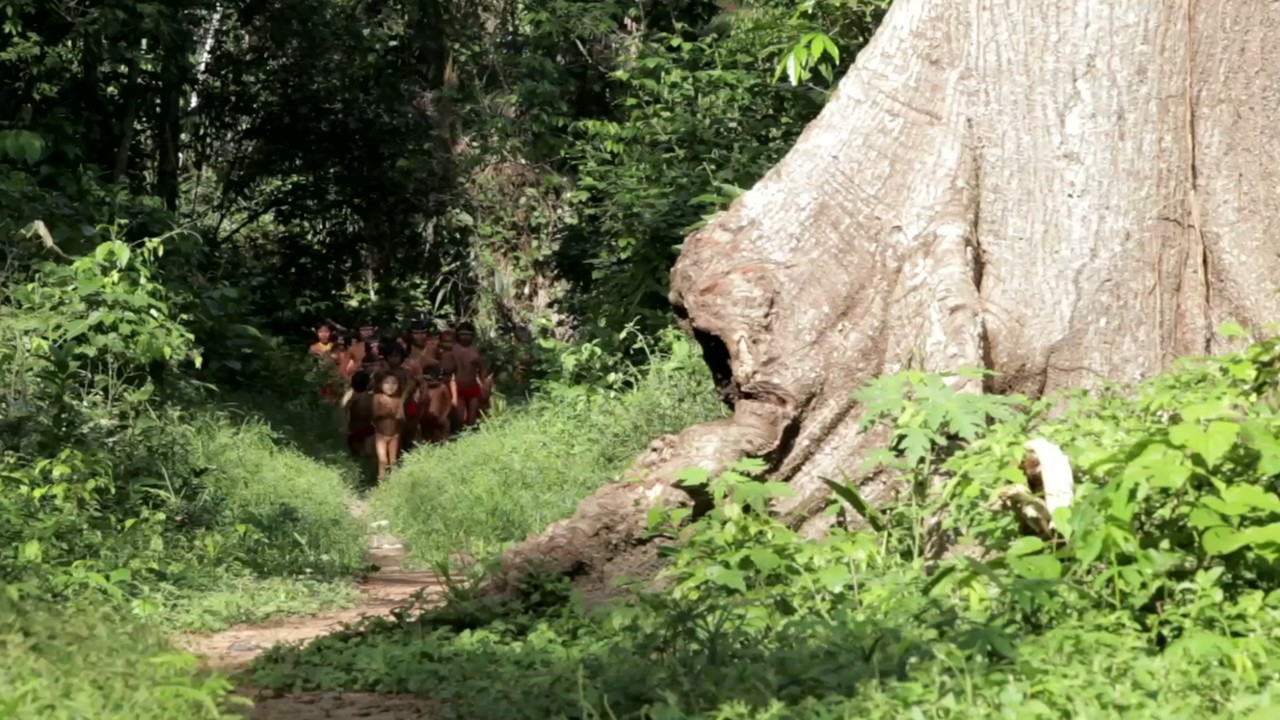 Unknown Amazon