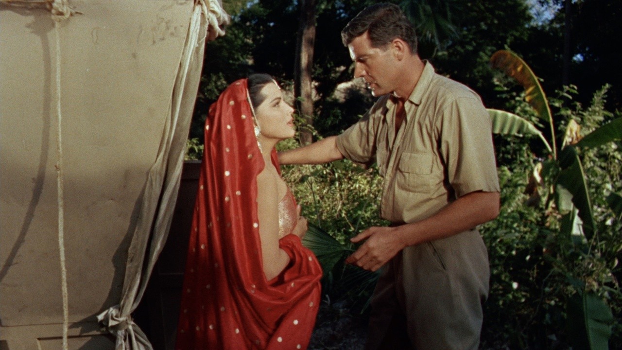 Image du film Le Tigre du Bengale