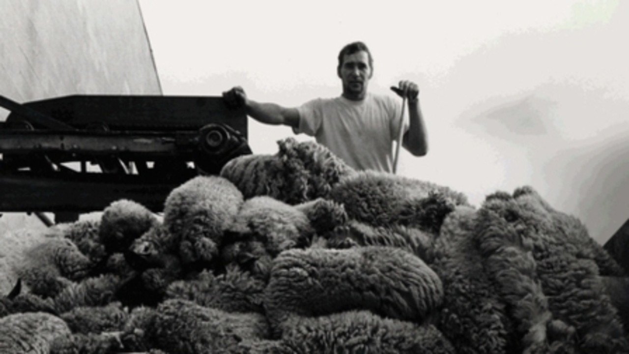 Image du film Meat