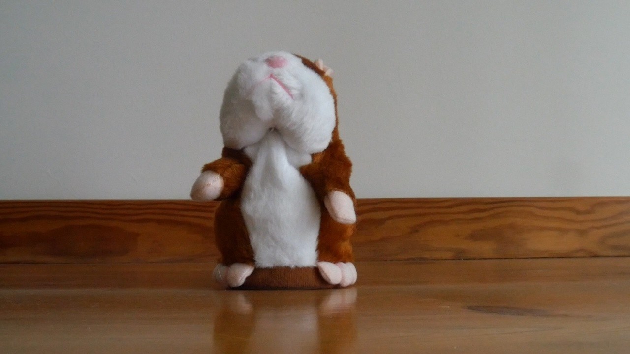 The Hamster