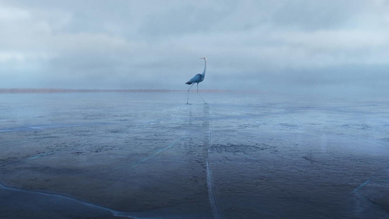 Under the Ice