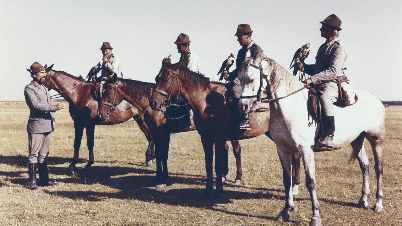 Image du film Les faucons
