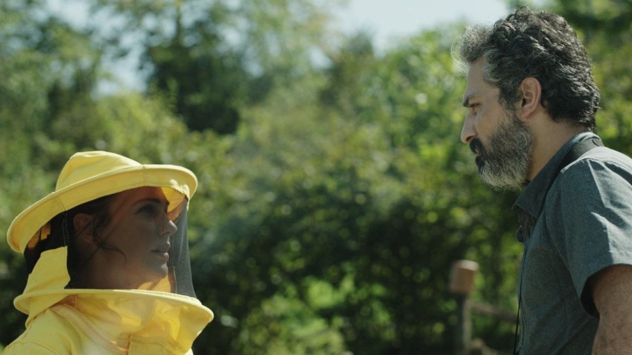 Keeping the Bees