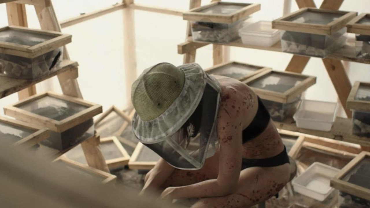 Image du film La Nuée