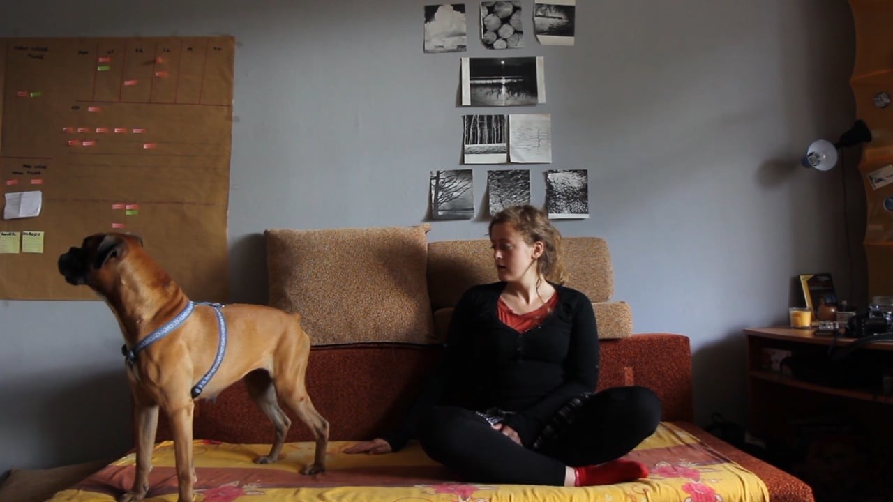 Everyday Greyness (2020) | MUBI