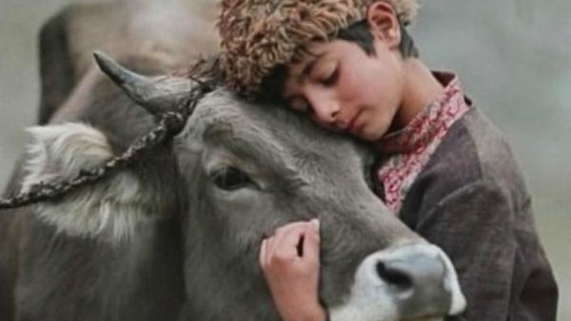 Gikor