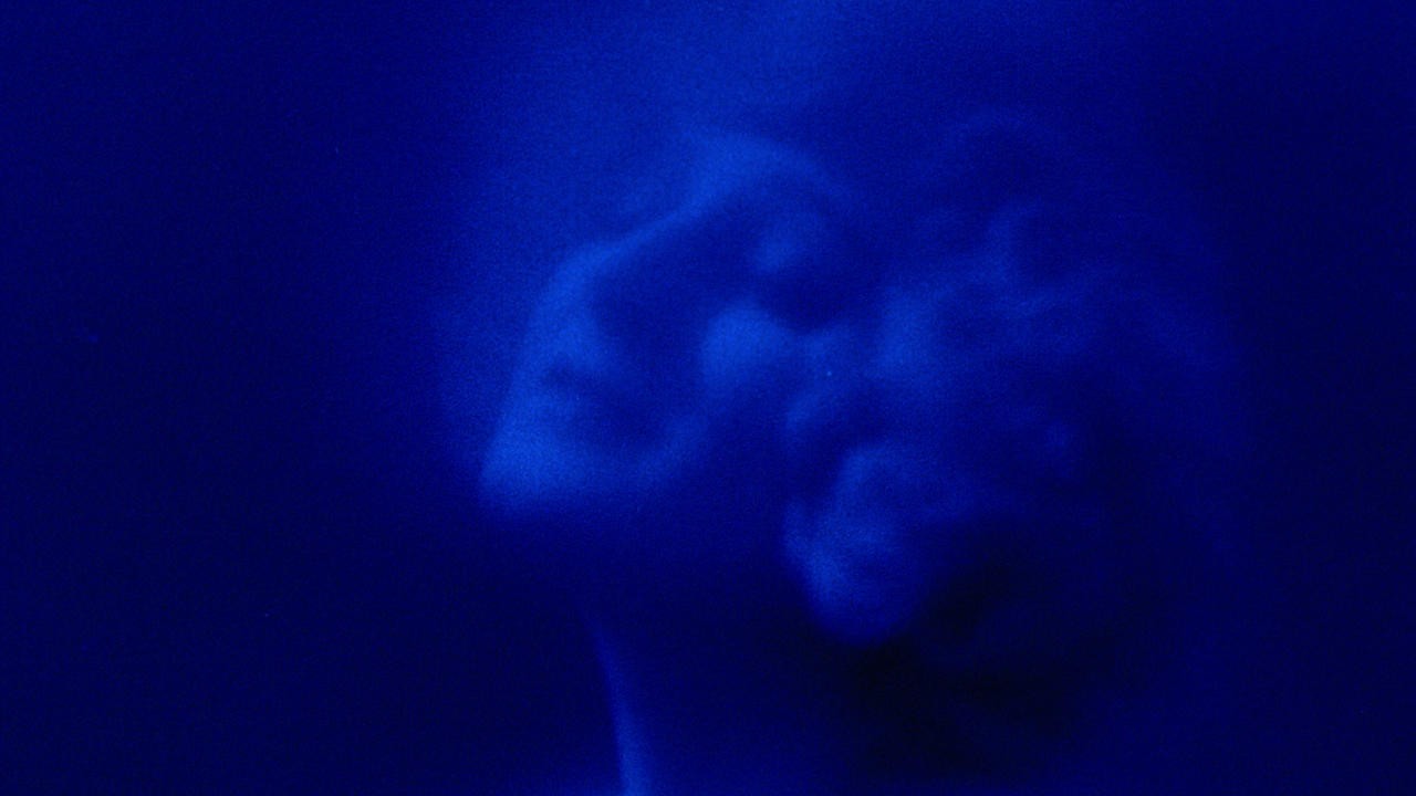 Image du film Le Fantôme