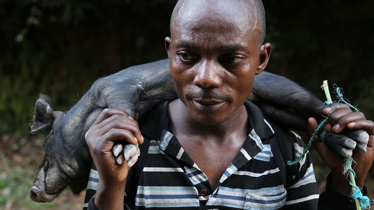 Congo, My Precious