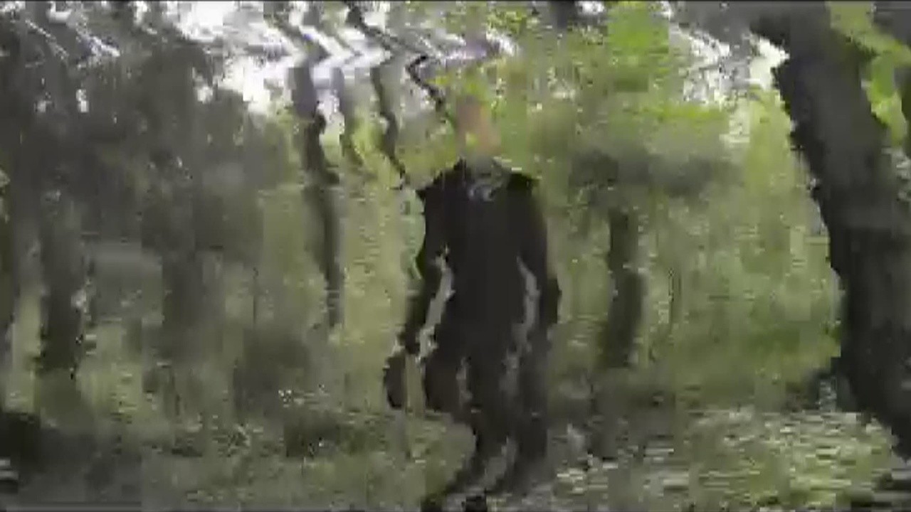 Mystery of Slender man
