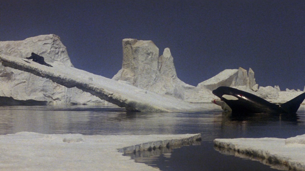 Image du film Orca