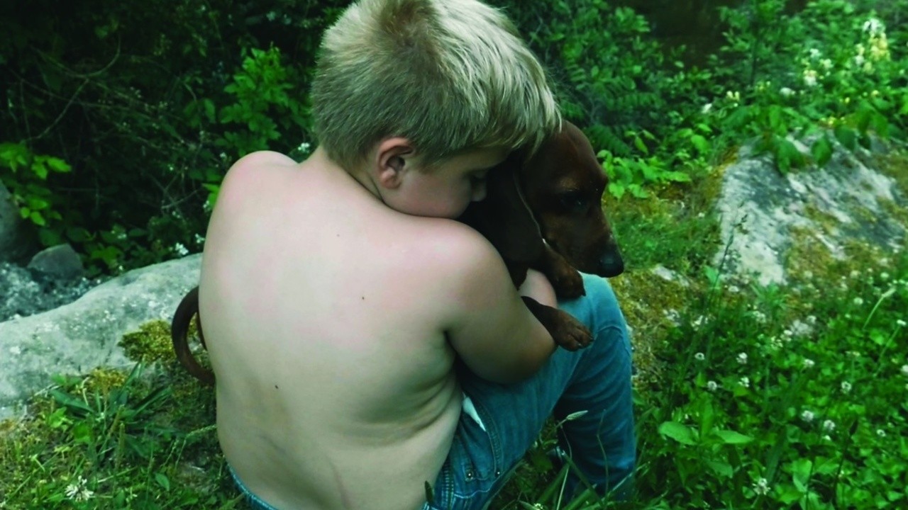 The Last Hillbilly