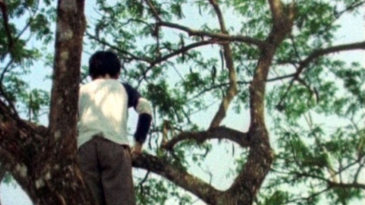 Image du film Ici finit l'exil