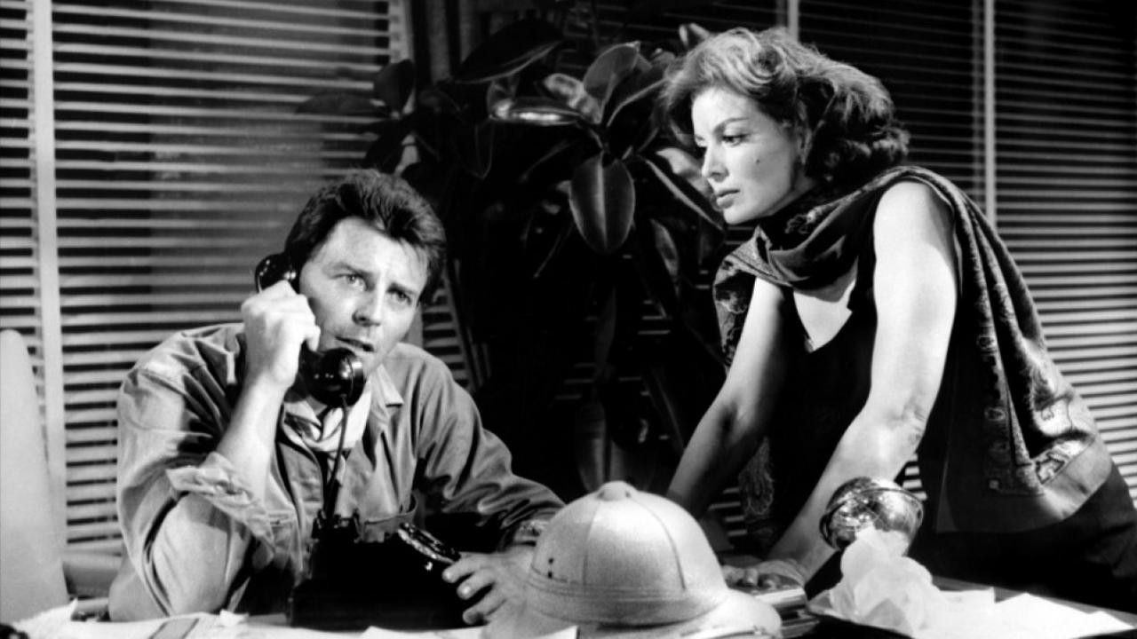 The Fever Rises in El Pao