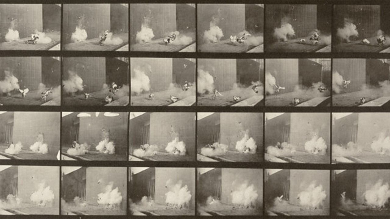 Chickens Scared by Torpedo