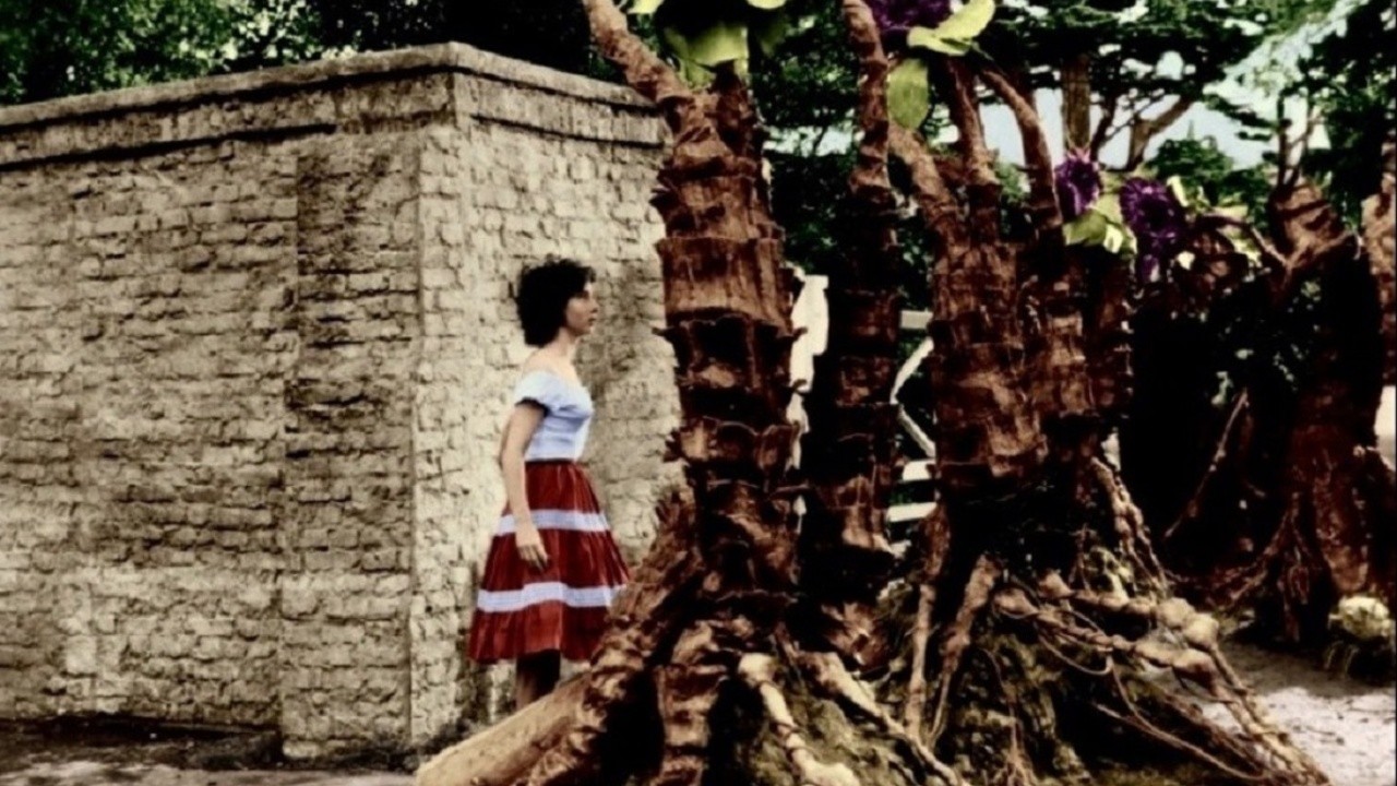 The Day of the Triffids