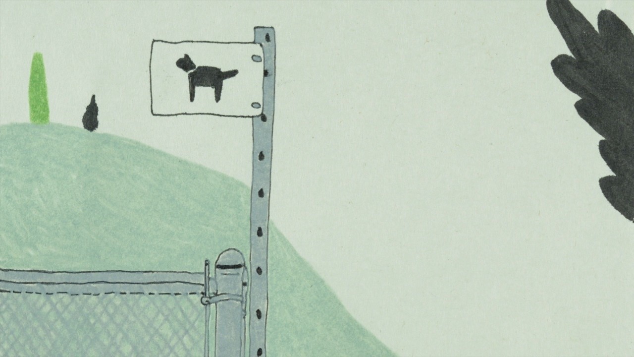 Cat Park (2020) | MUBI