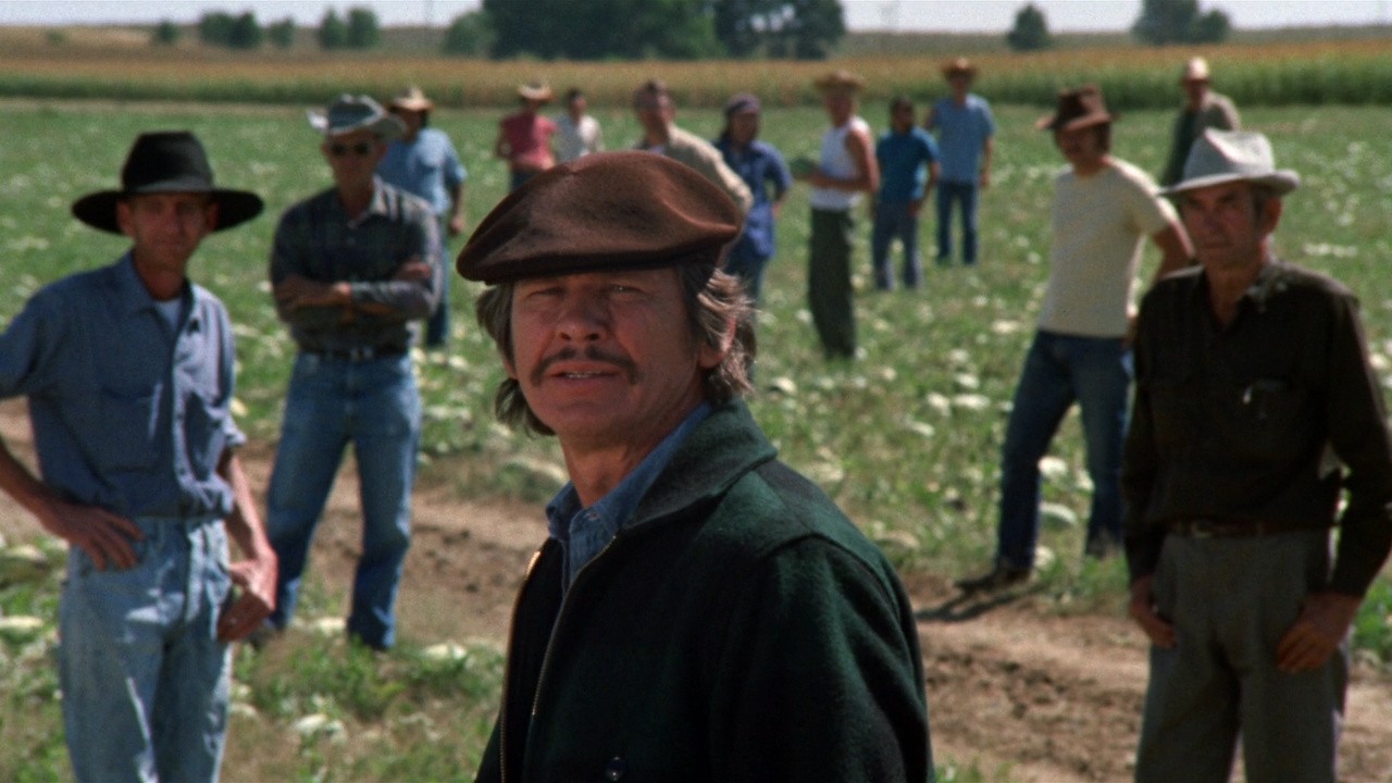 Image du film Mr. Majestyk