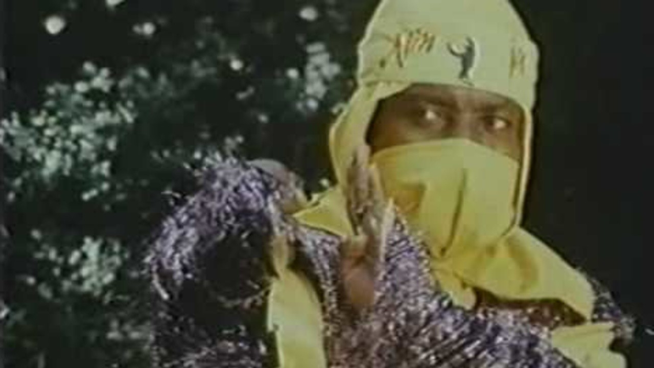 Image du film Black Ninja