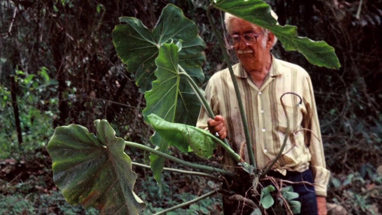 Expedições Burle Marx