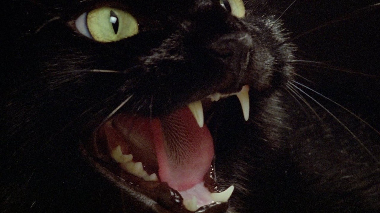 Image du film Deux yeux maléfiques