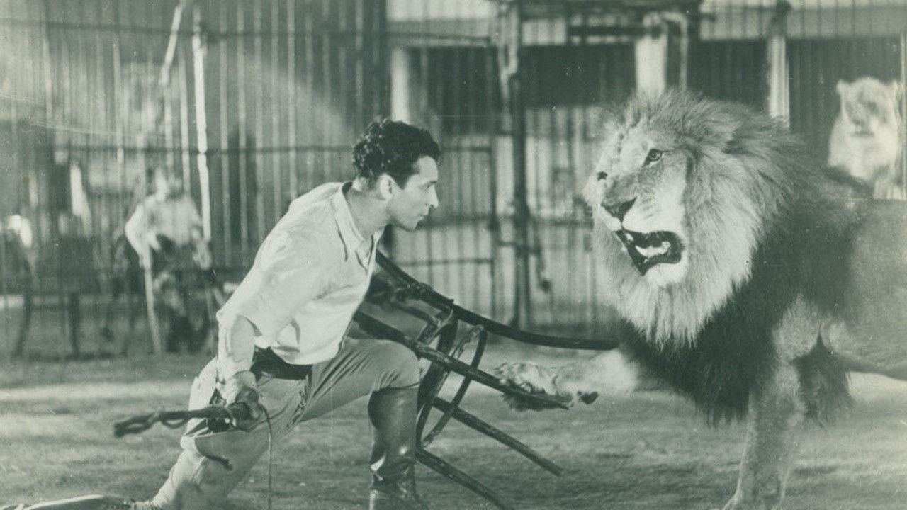 The Big Cage