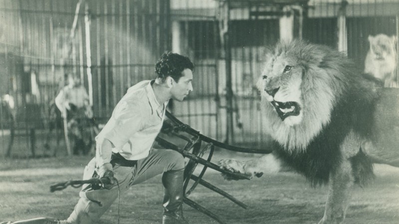 The Big Cage