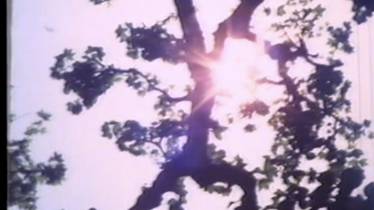 Light Point
