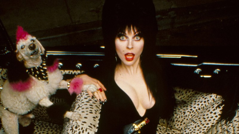 Elvira, Mistress of the Dark