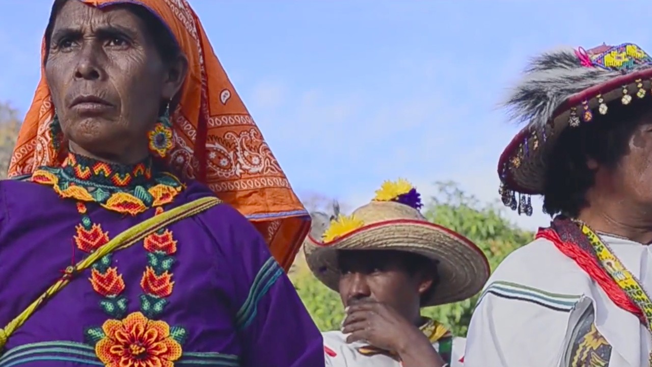 Huicholes: The Last Peyote Guardians