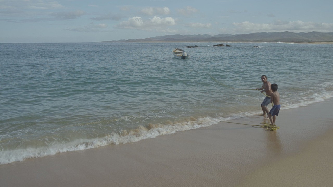 Pesca de Sirenas