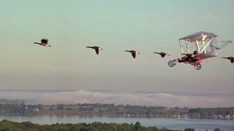 Fly Away Home (1996) | MUBI