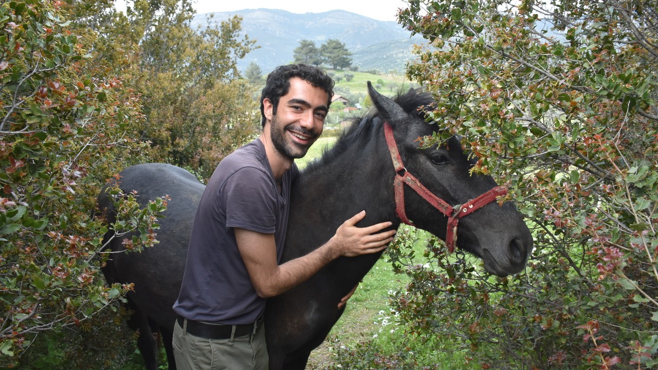 Gök, Yer ve Arasındaki Şeyler