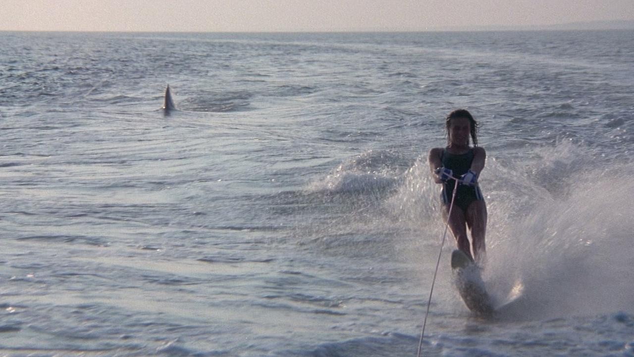 Image du film Les Dents de la mer, 2ᵉ partie