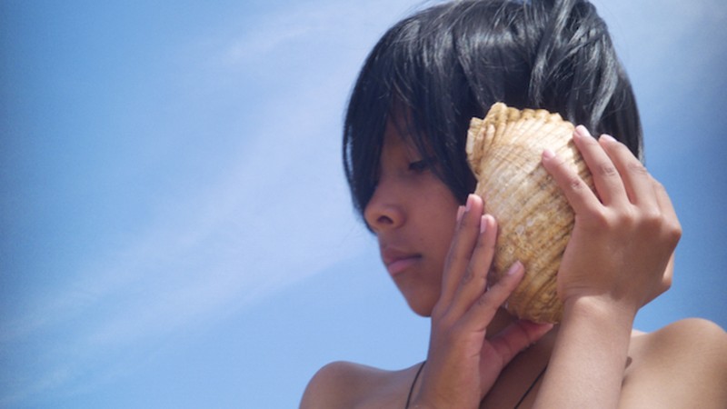 Time and the Seashell