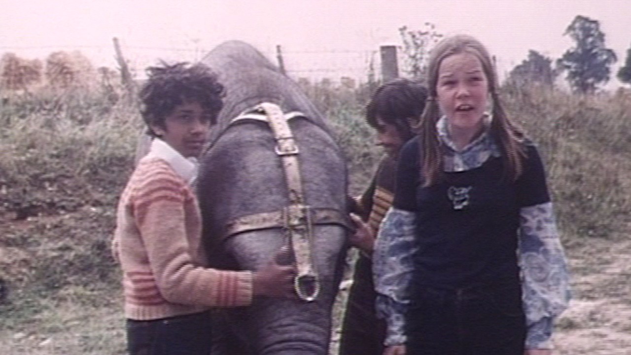 Anoop and the Elephant