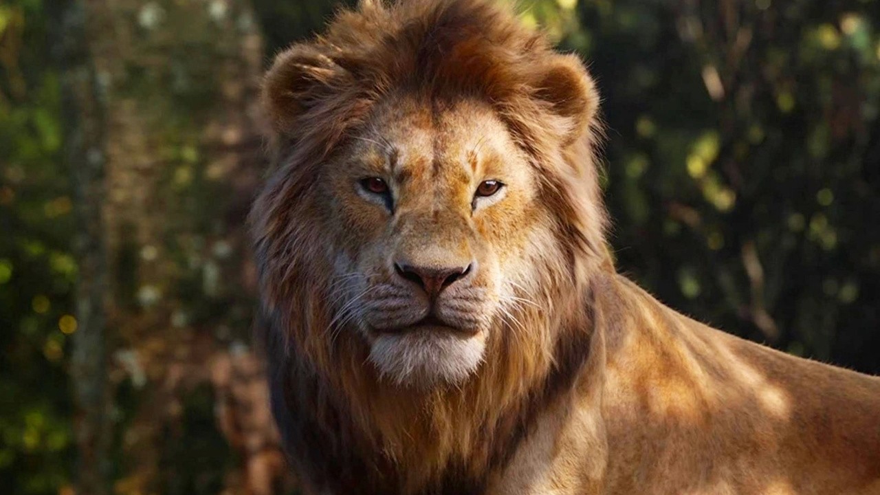 Mufasa The Lion King (2024) MUBI