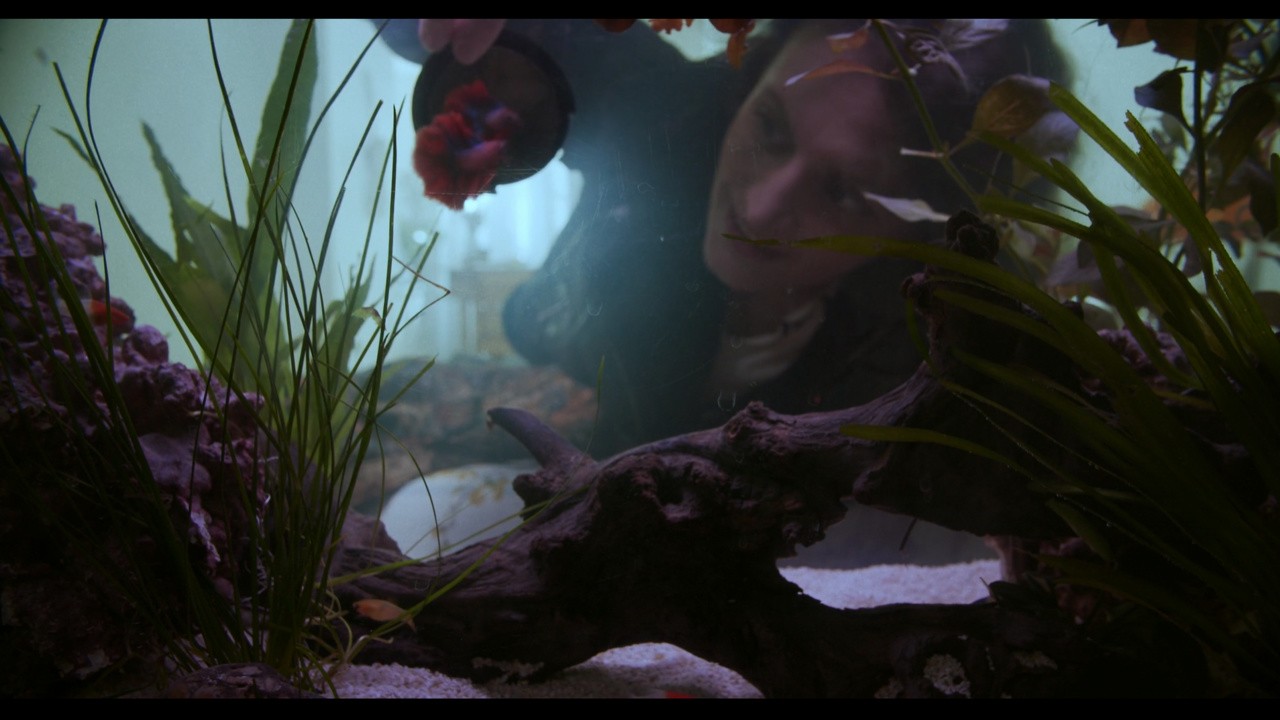 As If Underwater