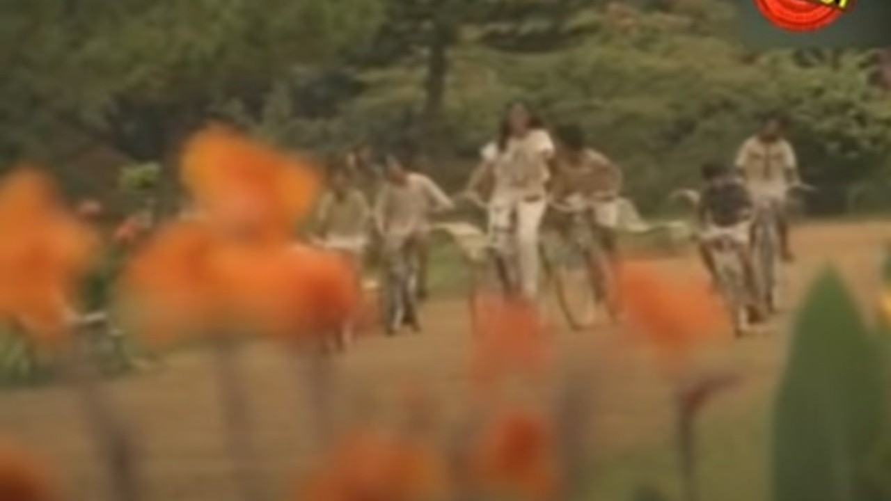 Gazing as Far as the Eye Can See (1984) MUBI