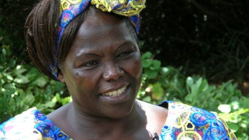 Taking Root: The Vision of Wangari Maathai