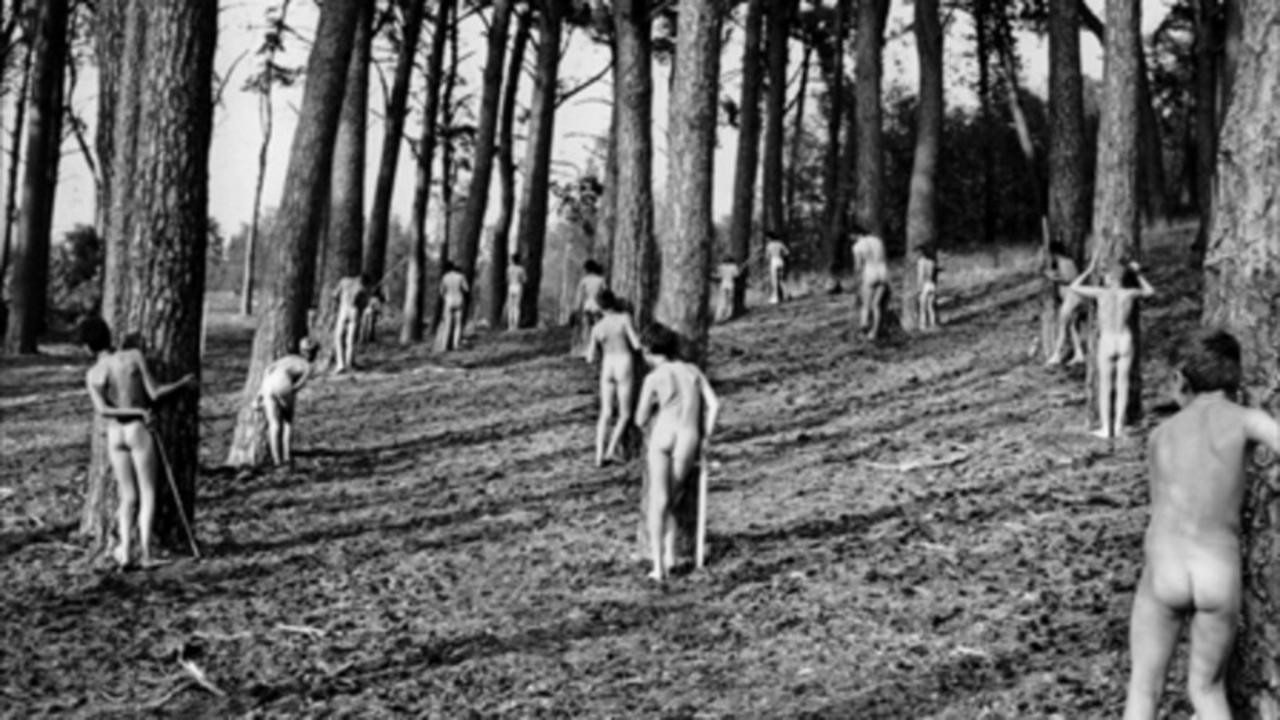 Image du film La Guerre des boutons