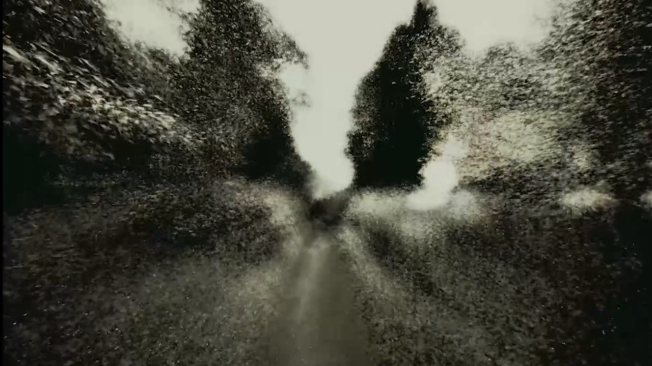 Brouillard - Passage #19