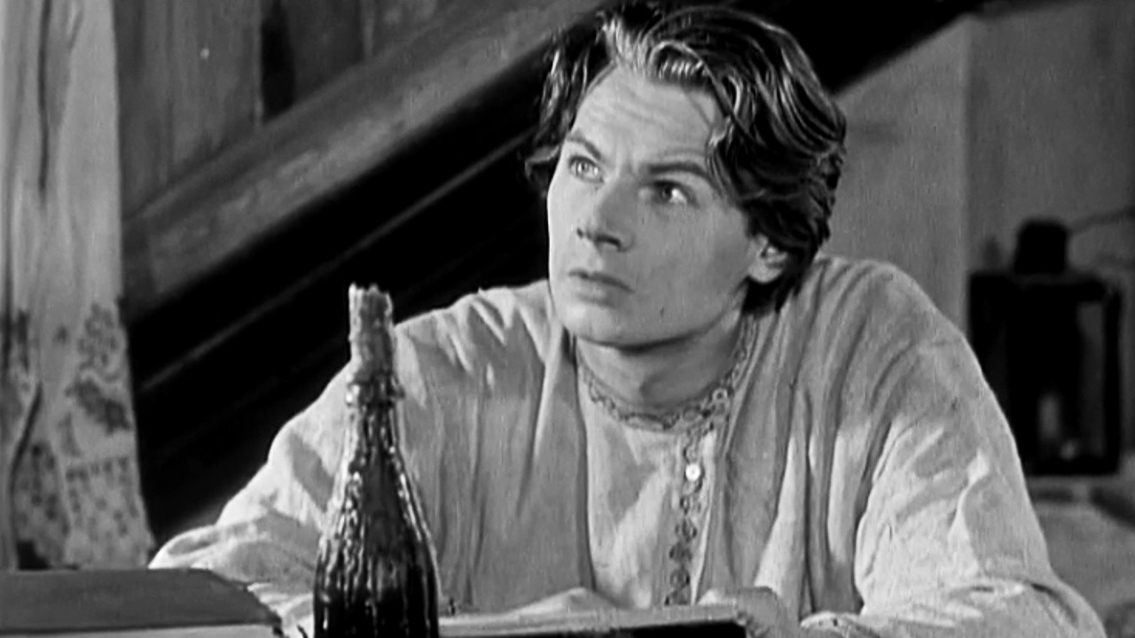 Maxim Gorkis Weg ins Leben 3: Meine Universitäten