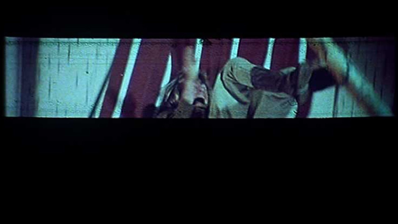 Film Quartet/Polyframe