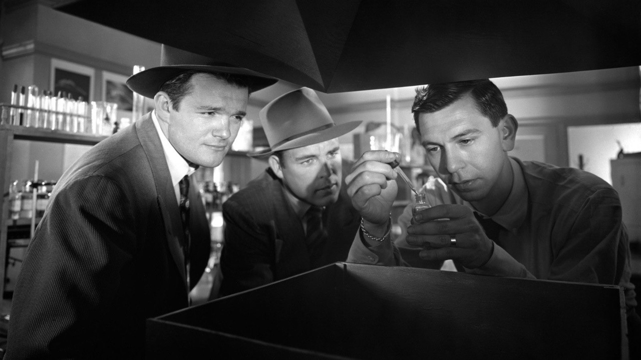 Image du film Il marchait la nuit