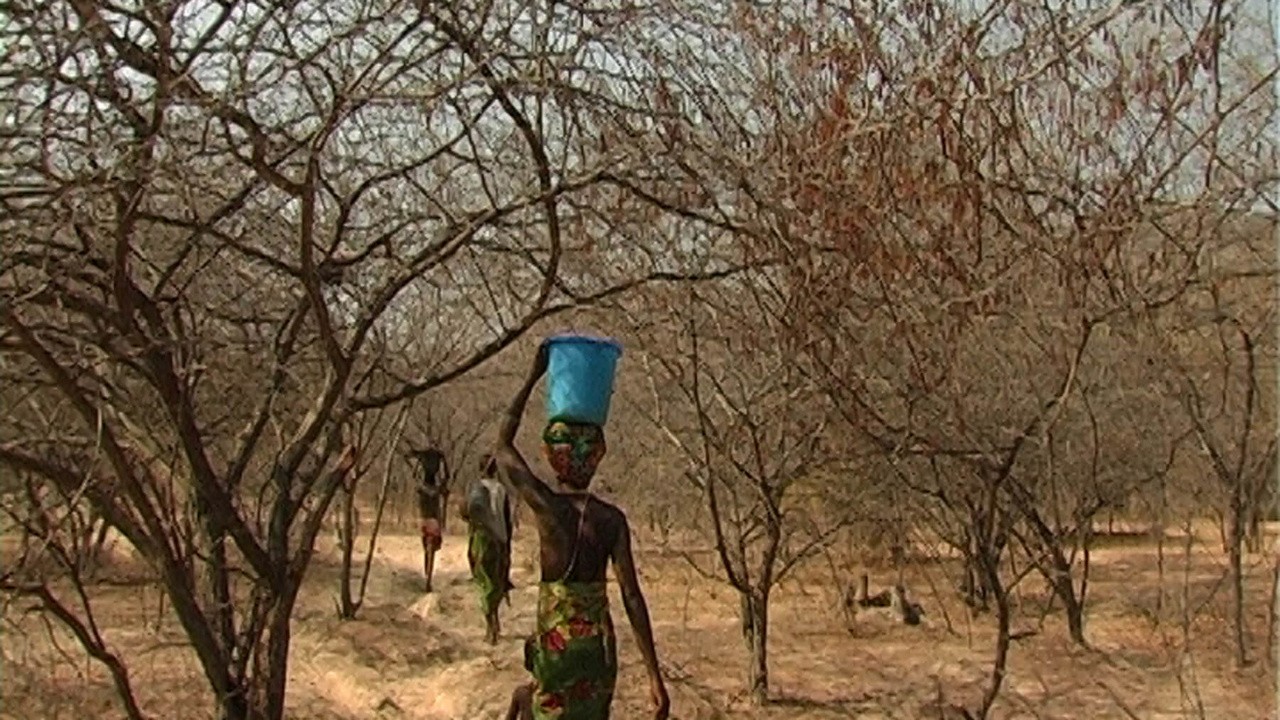 Making a Living in the Dry Season