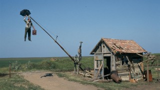 Black Cat, White Cat