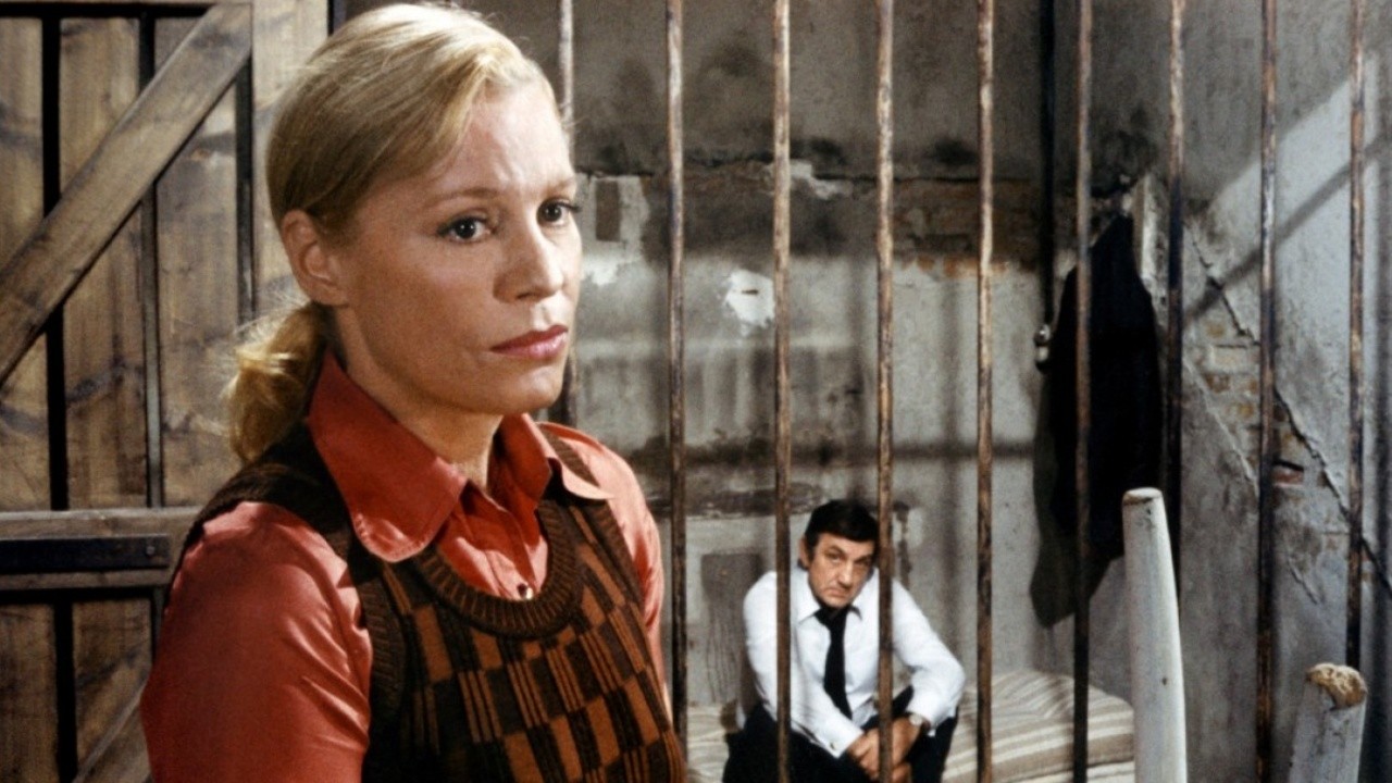 Image du film La cage