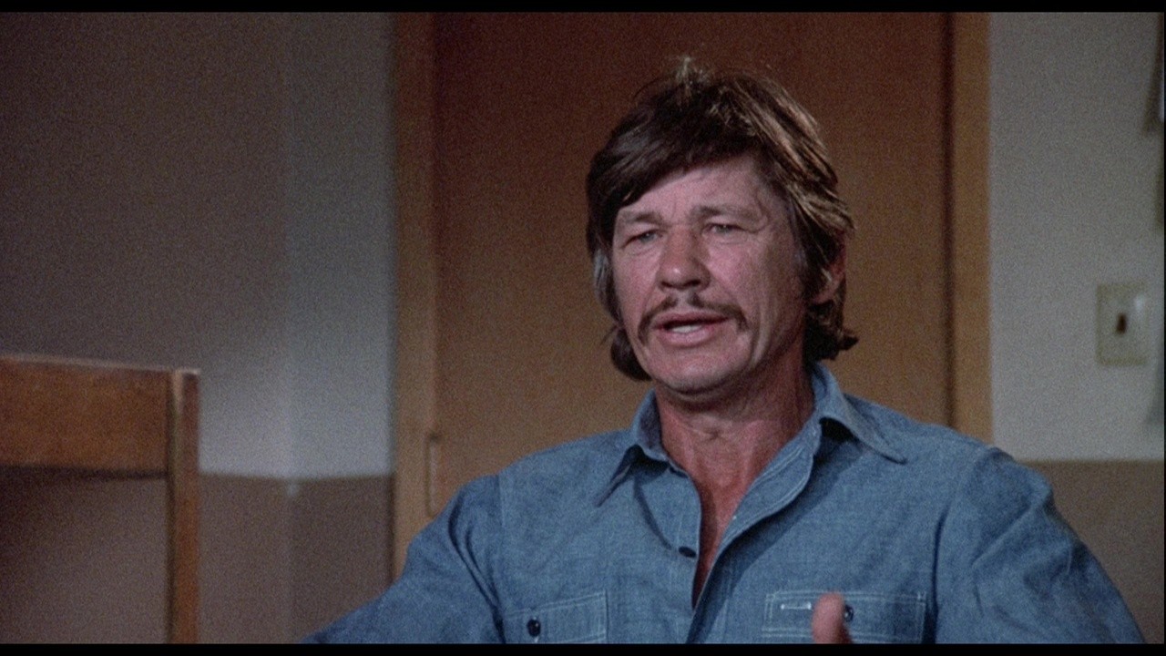 Charles Bronson, Hollywood's Lone Wolf