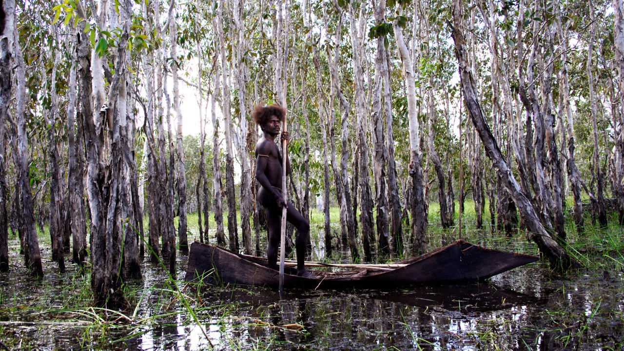 Image du film 10 canoés, 150 lances et 3 épouses