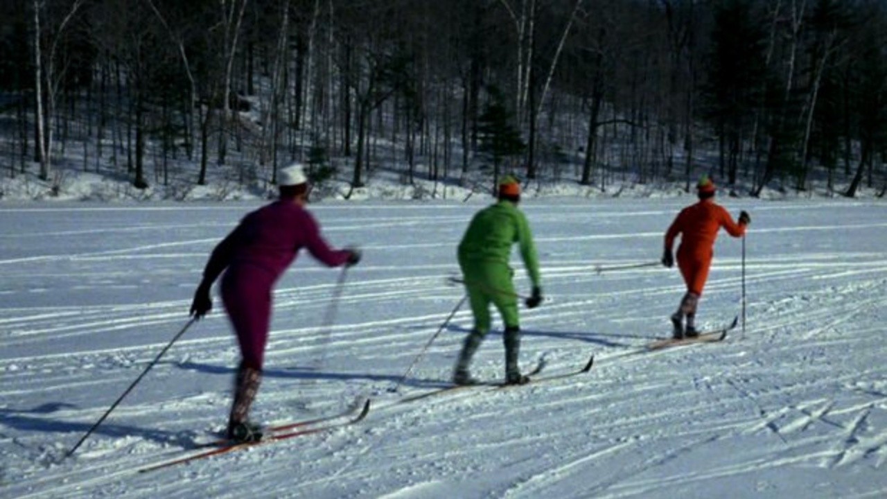 Cross-country Skiing